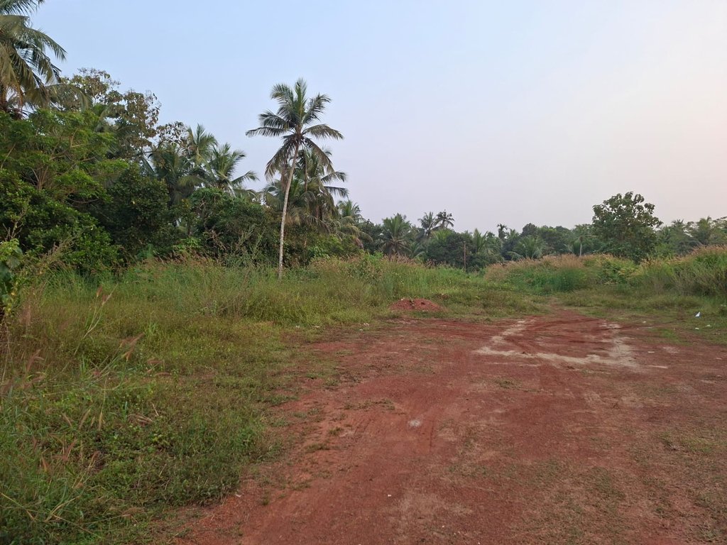 Plot At Pottanpara — photo 1