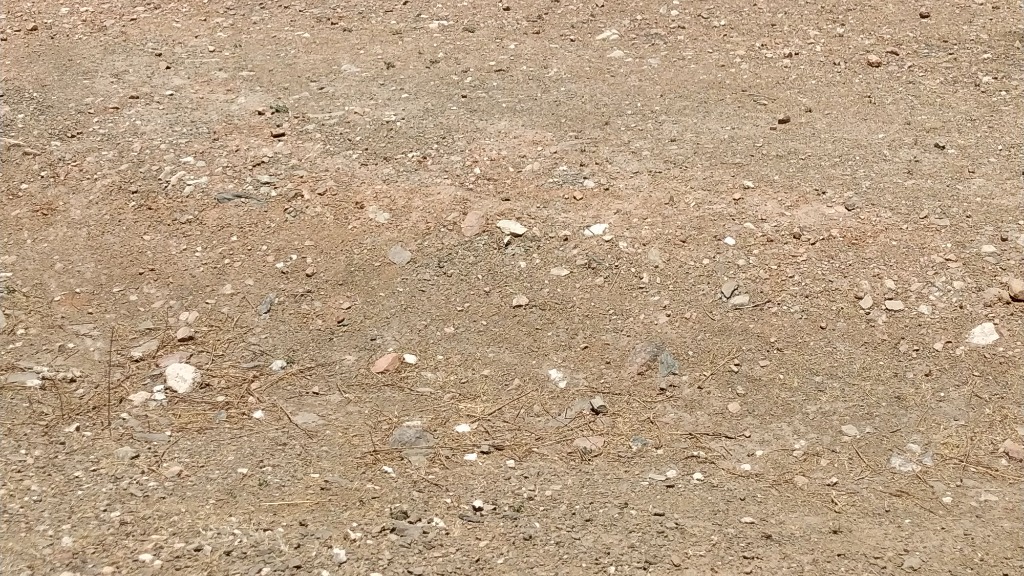 Plot in Parth Public School — photo 5