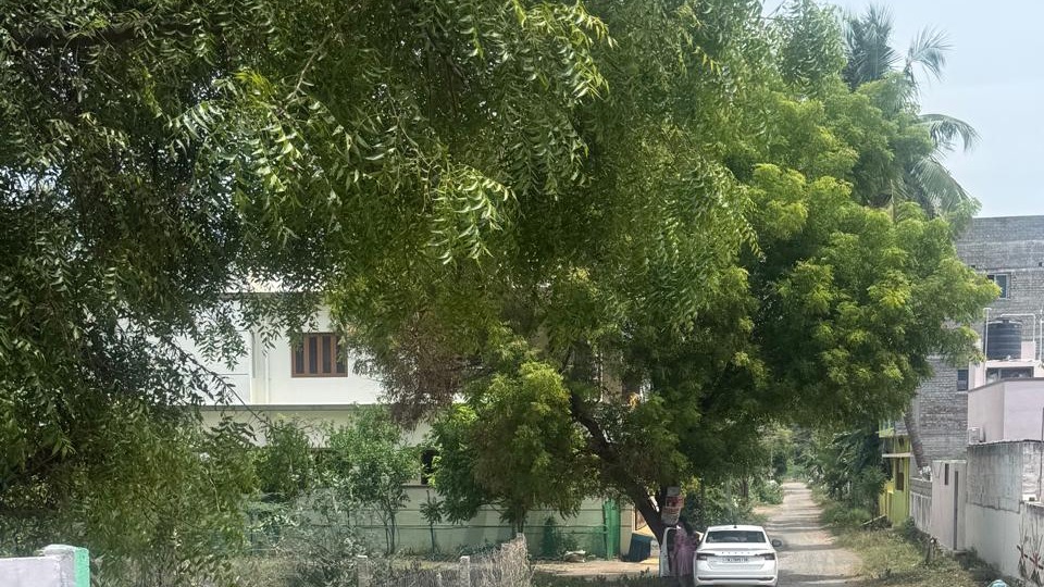Plot in Dasanaikenpatty, Salem — photo 10