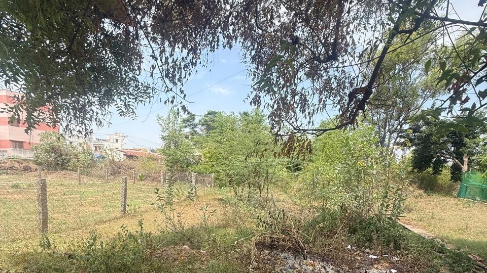 Plot in Dasanaikenpatty, Salem — photo 6