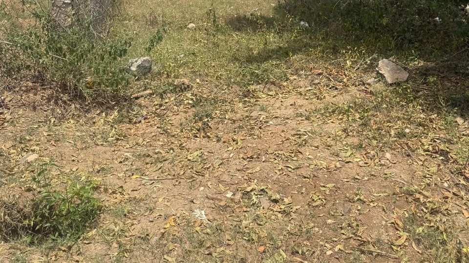Plot in Dasanaikenpatty, Salem — photo 3