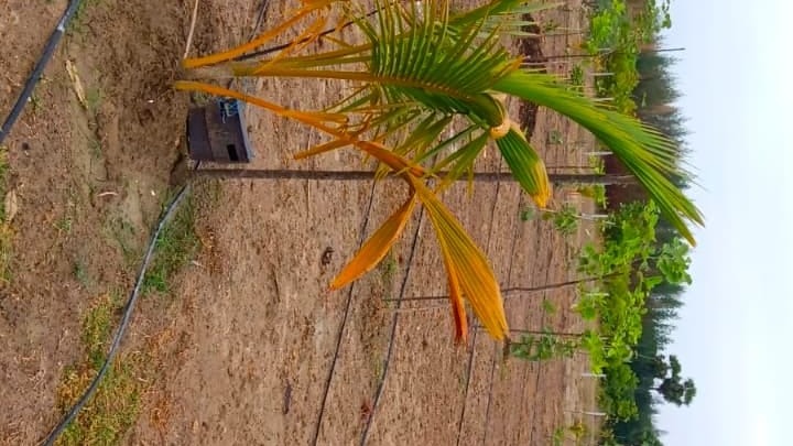 Agricultural Land in Ongur — photo 12
