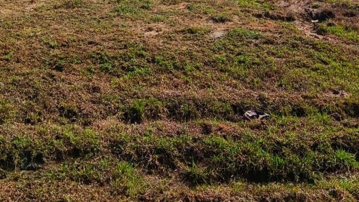 Agricultural Land in Ongur — photo 11