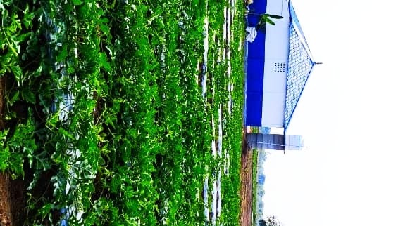 Agricultural Land in Ongur — photo 9