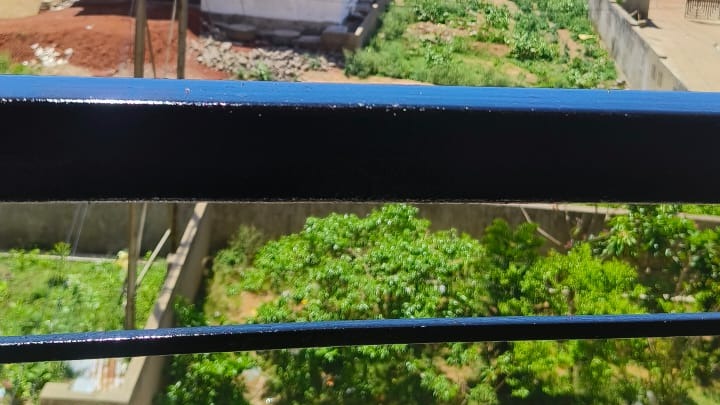 chandaka medow — photo 2