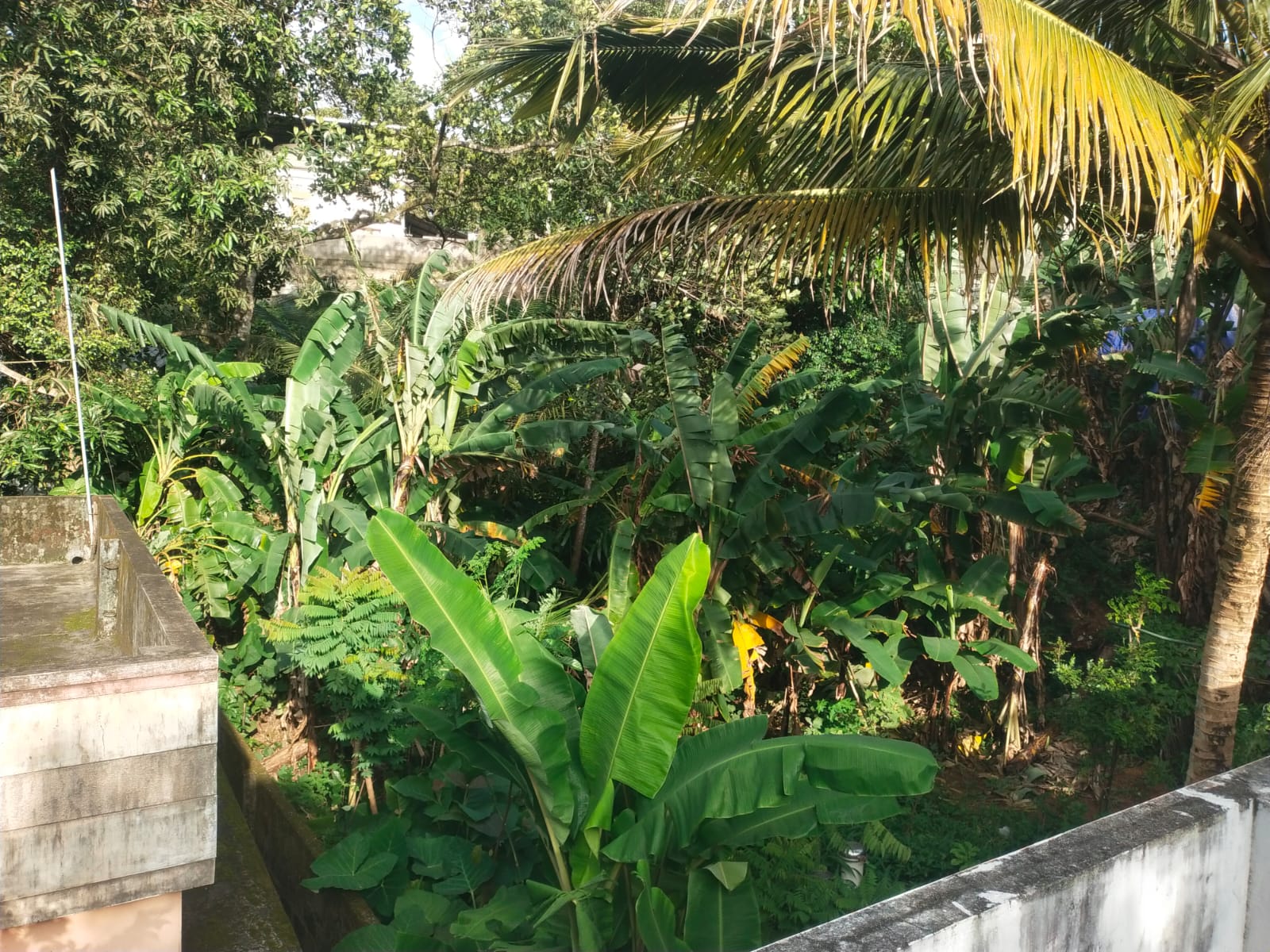 Plot in Kaimanam, Thiruvananthapuram — photo 6