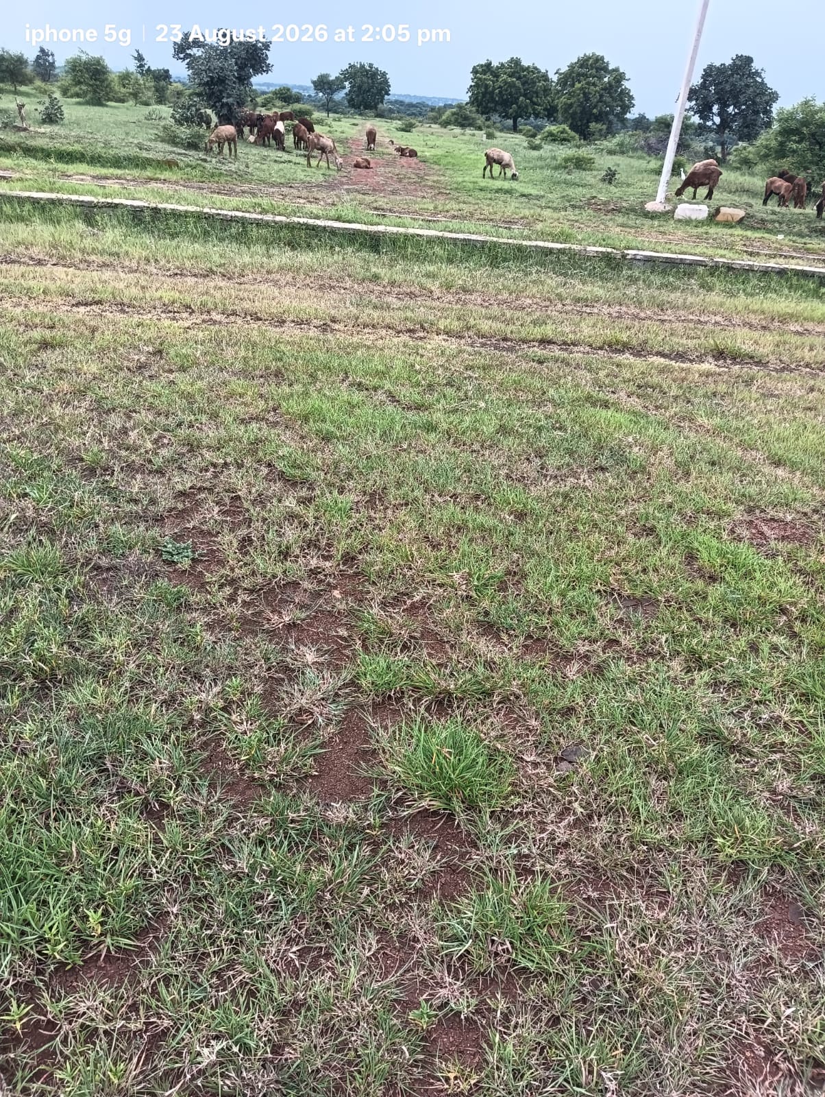 Plot in Budhera — photo 3