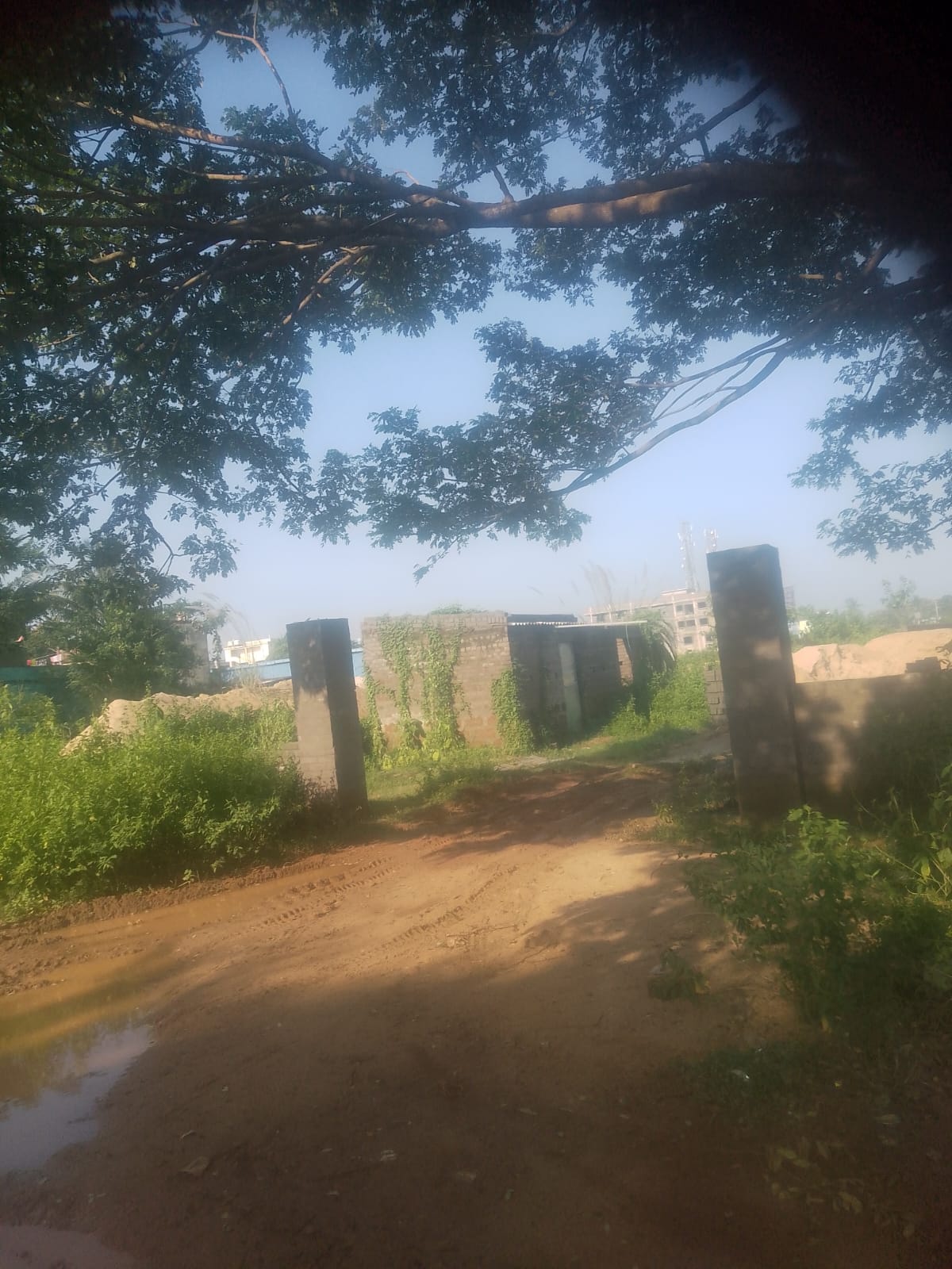 Plot in Maa Dhakulei Temple, Pratapnagari — photo 2