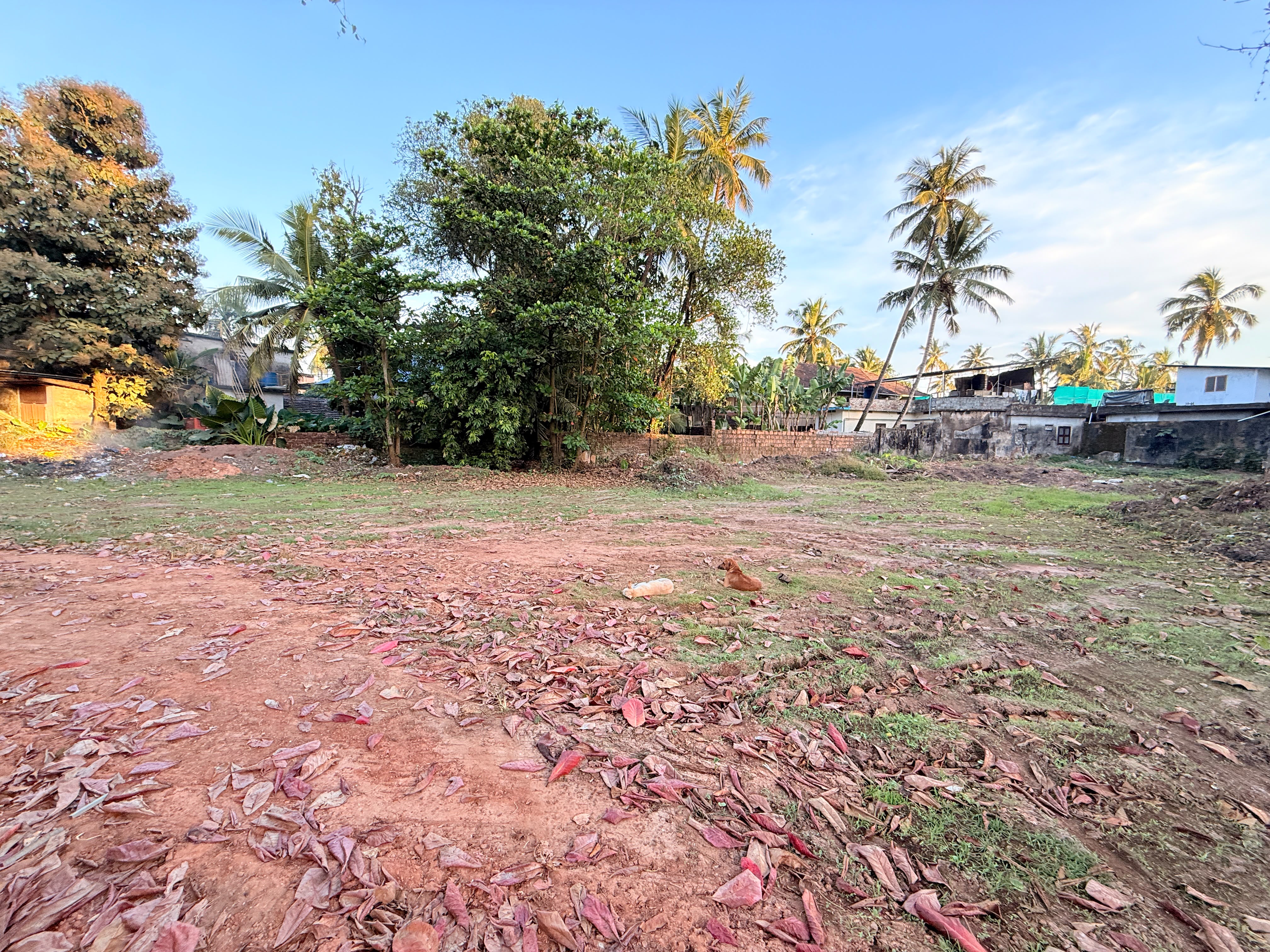 Plot In Thalassery Town, Kannur — photo 6