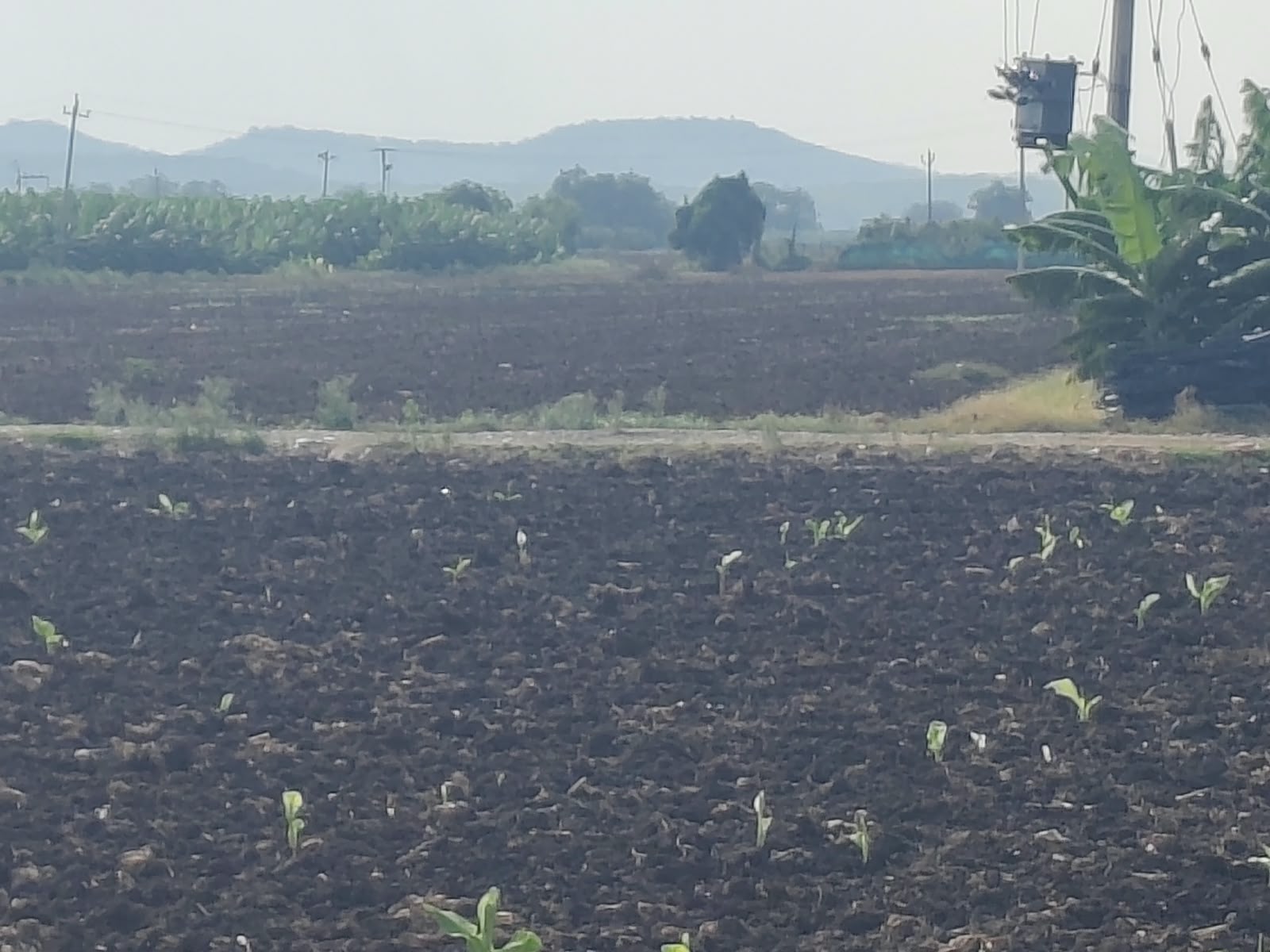 Plot in Suryapalli village, Putlur mandal, Anantapur district — photo 3