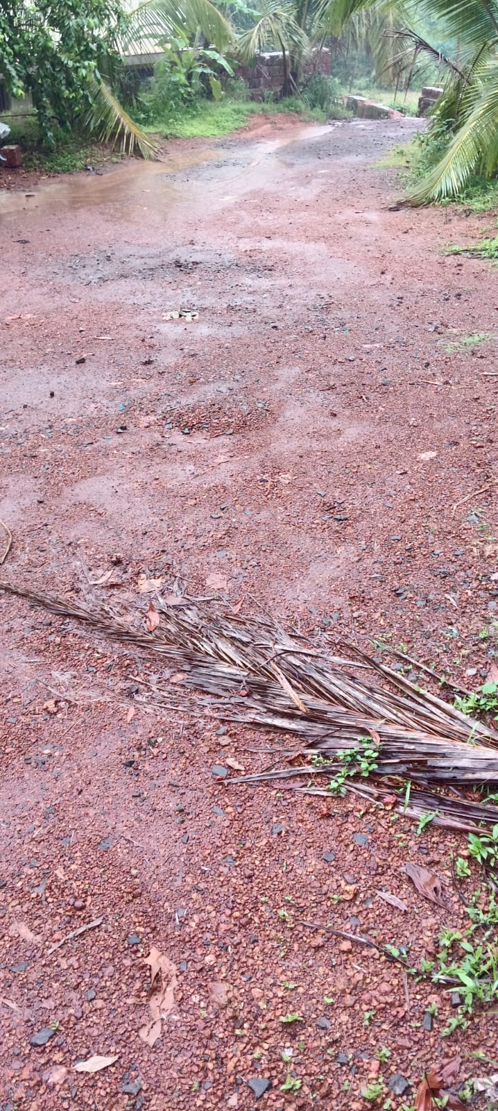 Plot in Kaitheri Kuthuparamba — photo 22