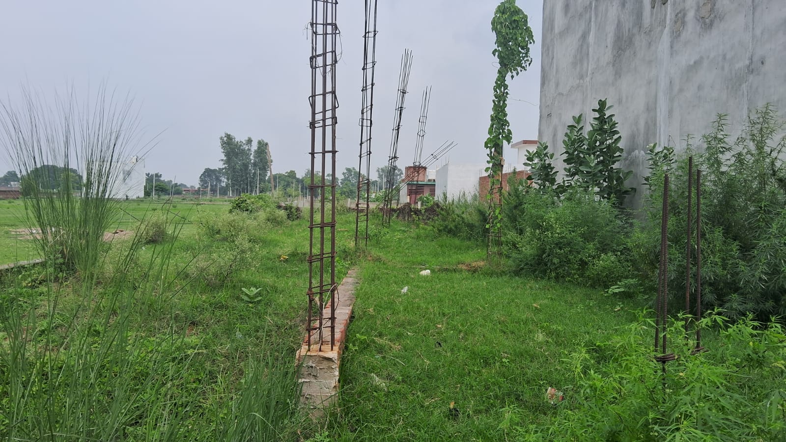 Plot in Shalimar Mannat — photo 2