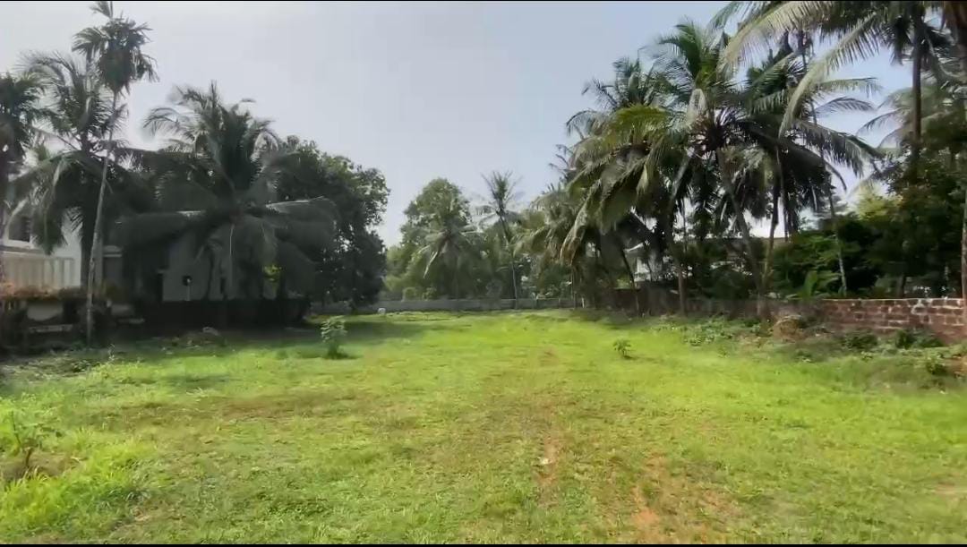 Plot in Kozhikode town — photo 1