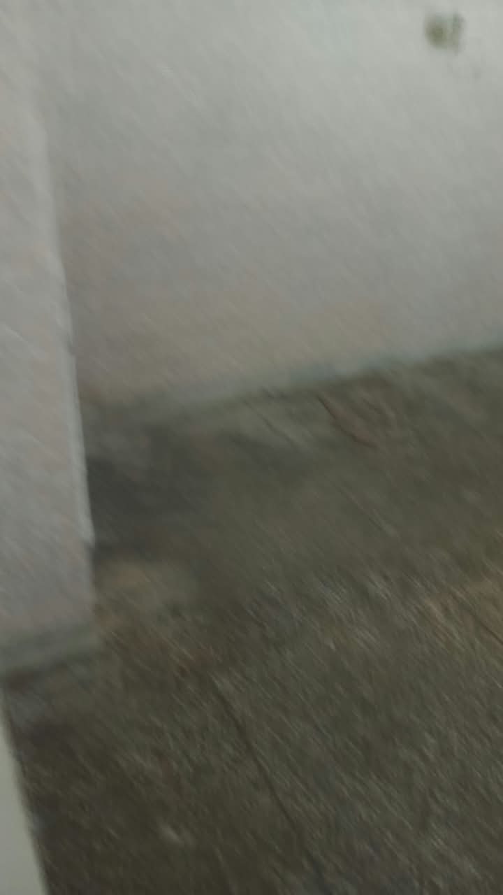 Apartment in Saket, Madangir, Ambedkar Nagar, New Delhi — photo 7