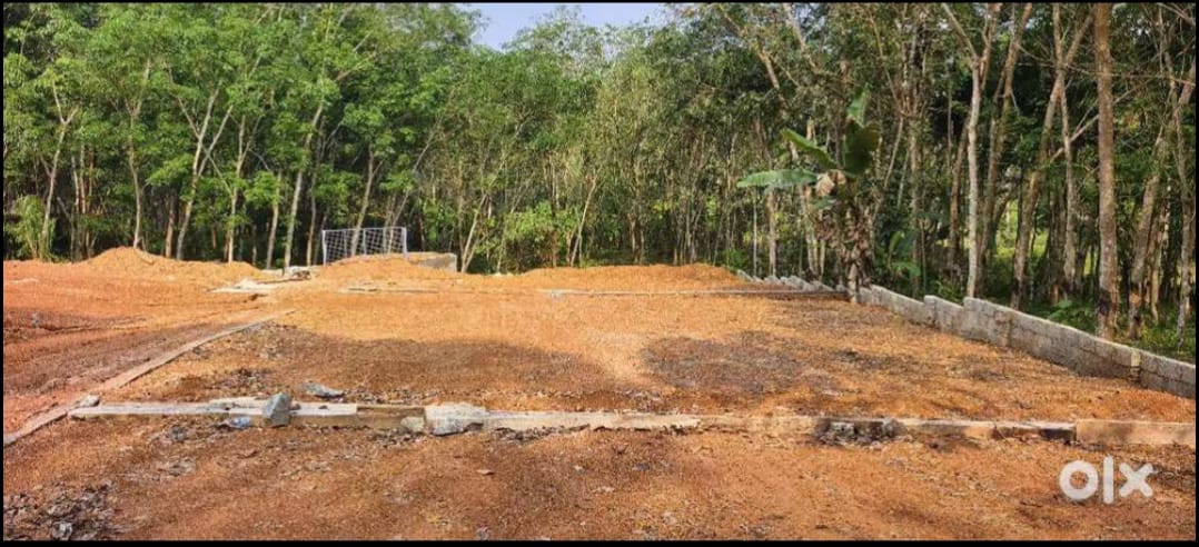 Plot in Anthiyoorkonam, Thiruvananthapuram — photo 4