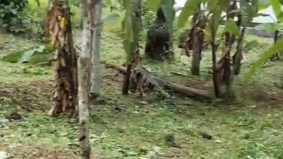 Plot in Pinarayi, Venduttayi — photo 18