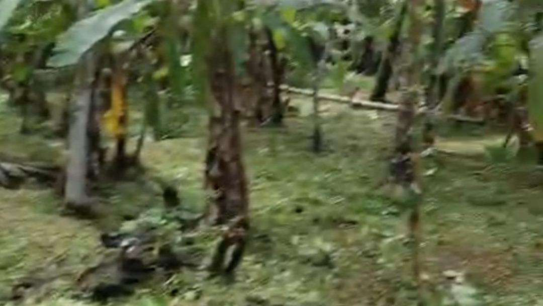 Plot in Pinarayi, Venduttayi — photo 14
