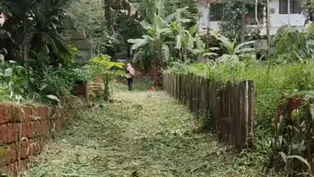 Plot in Pinarayi, Venduttayi — photo 13