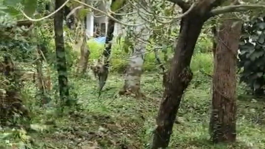 Plot in Pinarayi, Venduttayi — photo 12