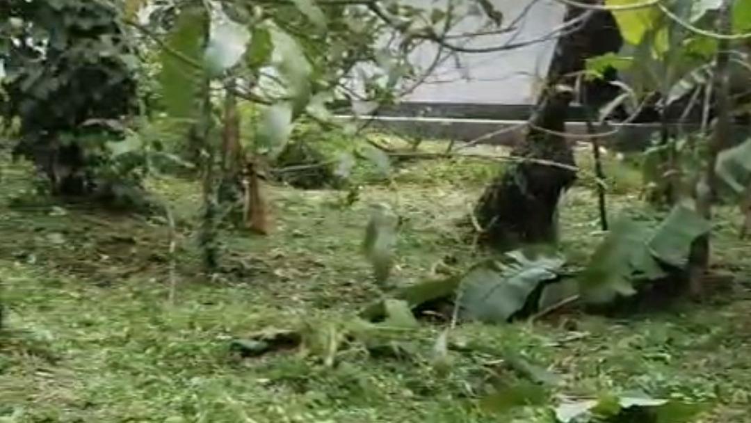 Plot in Pinarayi, Venduttayi — photo 11