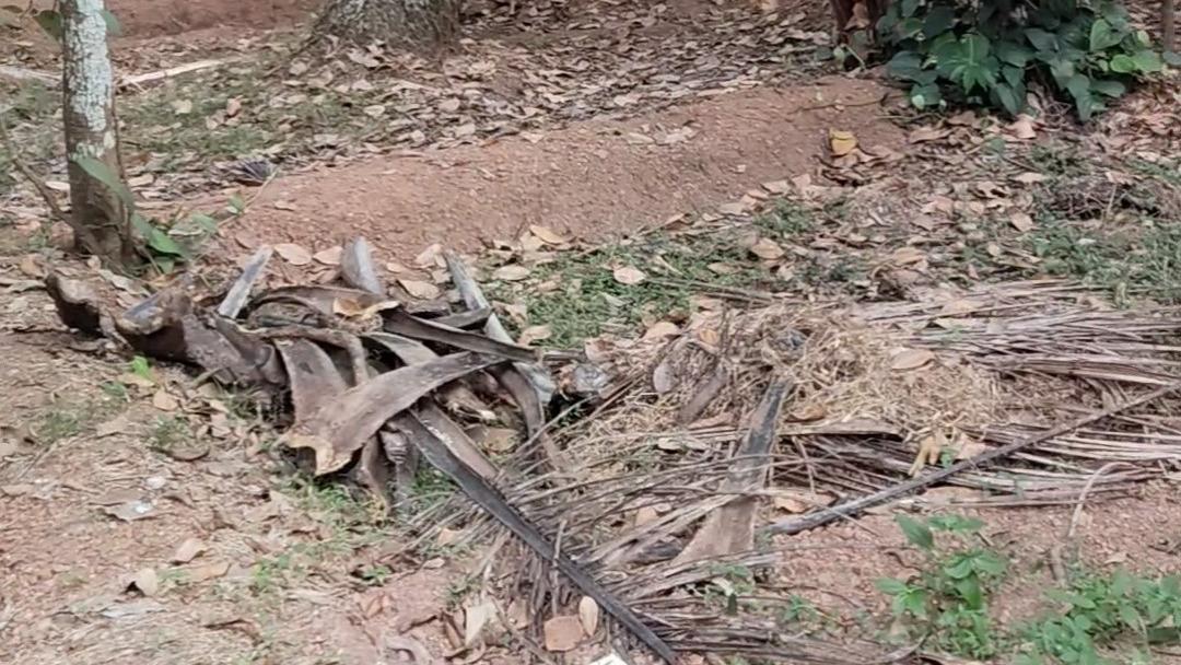 Plot in Pinarayi, Venduttayi — photo 4