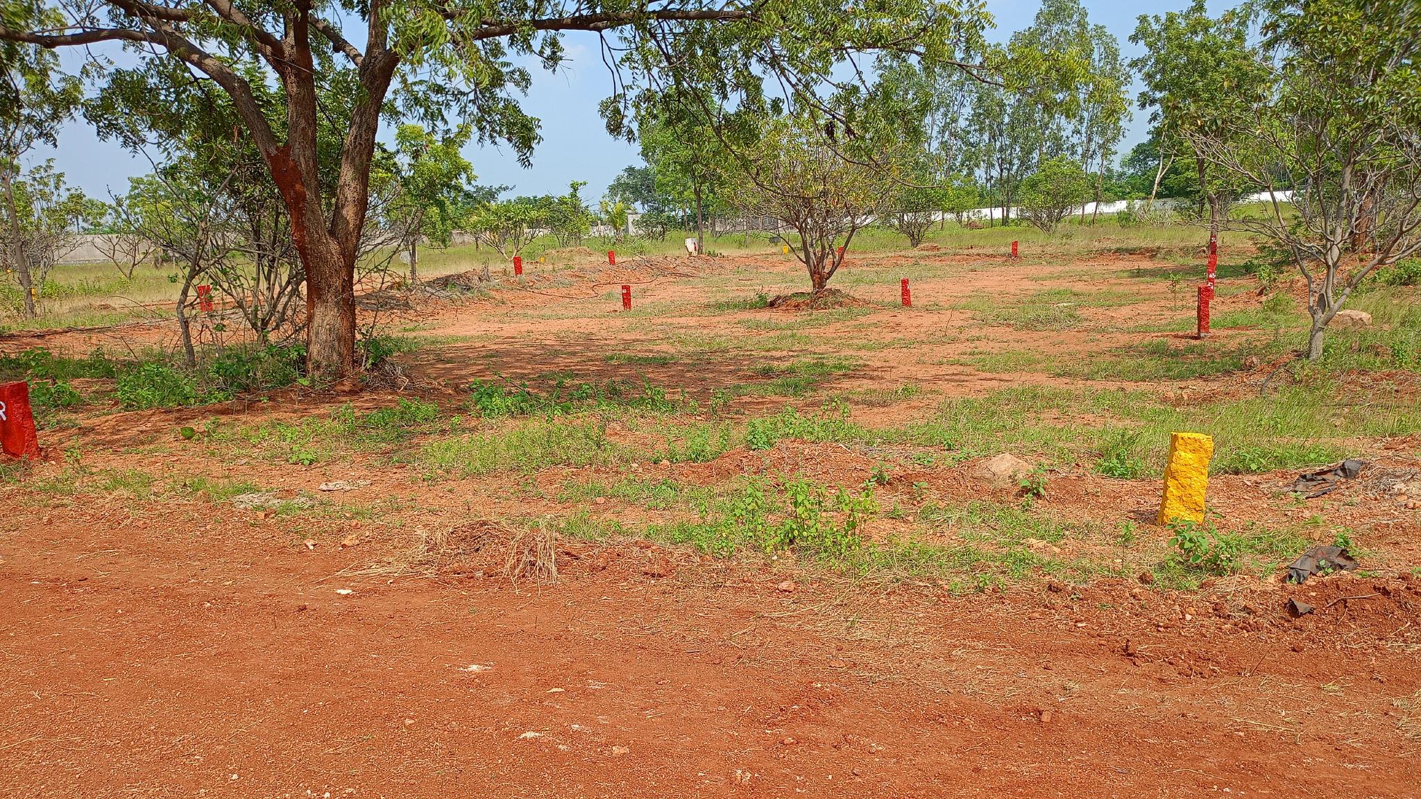 Plot in Tekulasomaram — photo 4