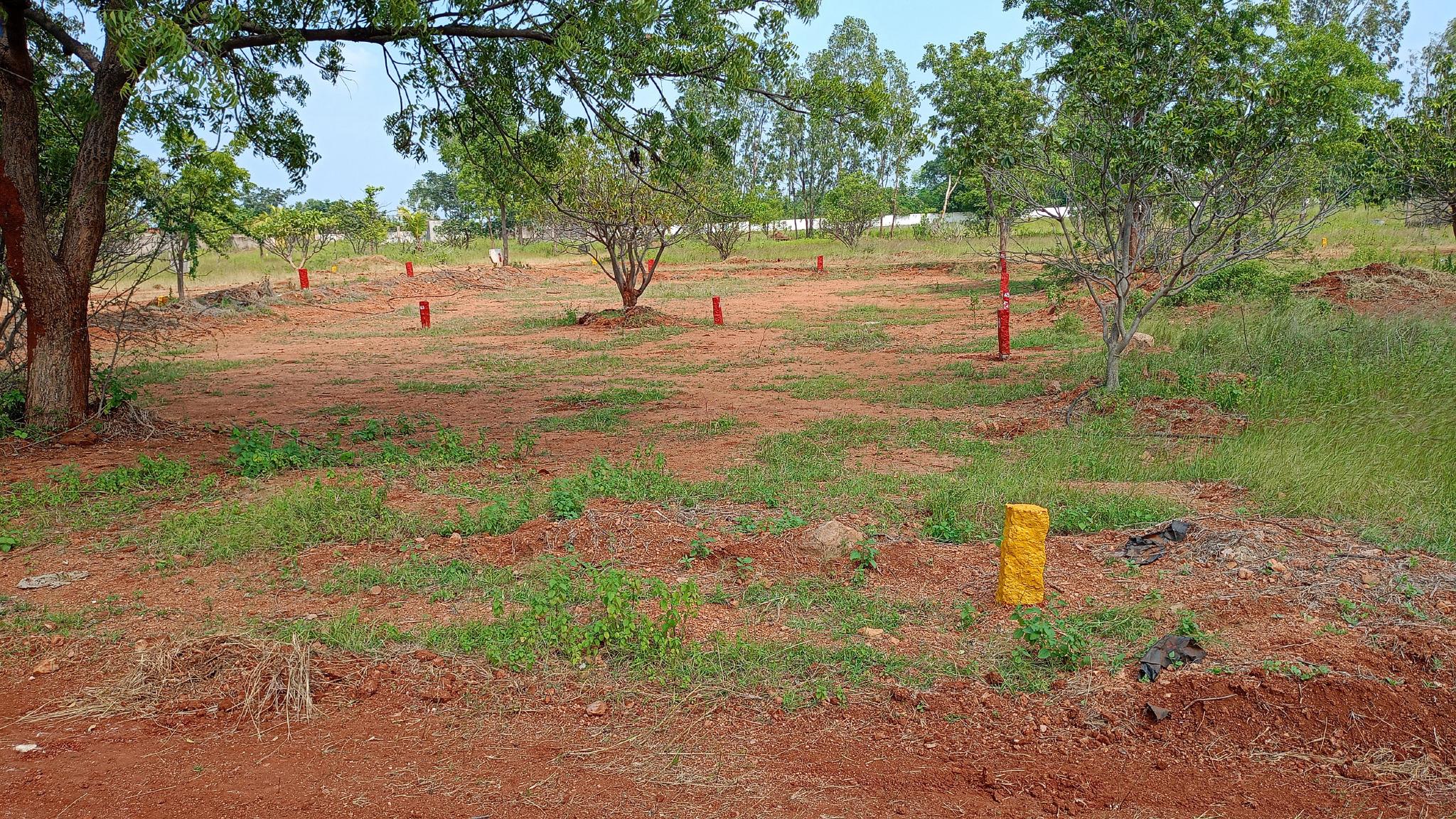 Plot in Tekulasomaram — photo 2