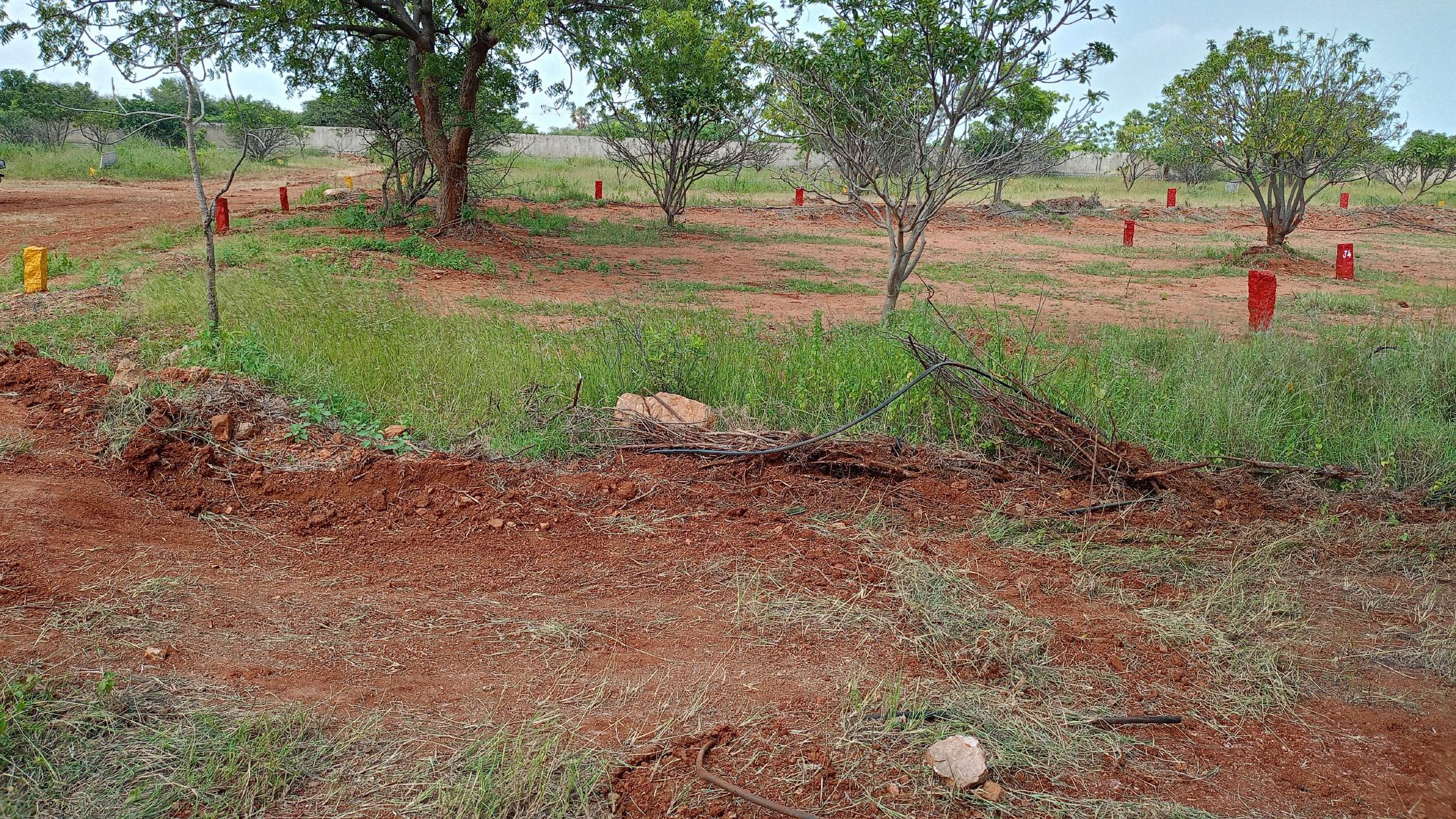 Plot in Tekulasomaram — photo 1