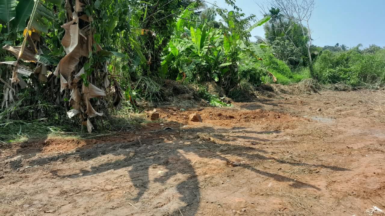 Plot in Pantheeramkavu test — photo 6