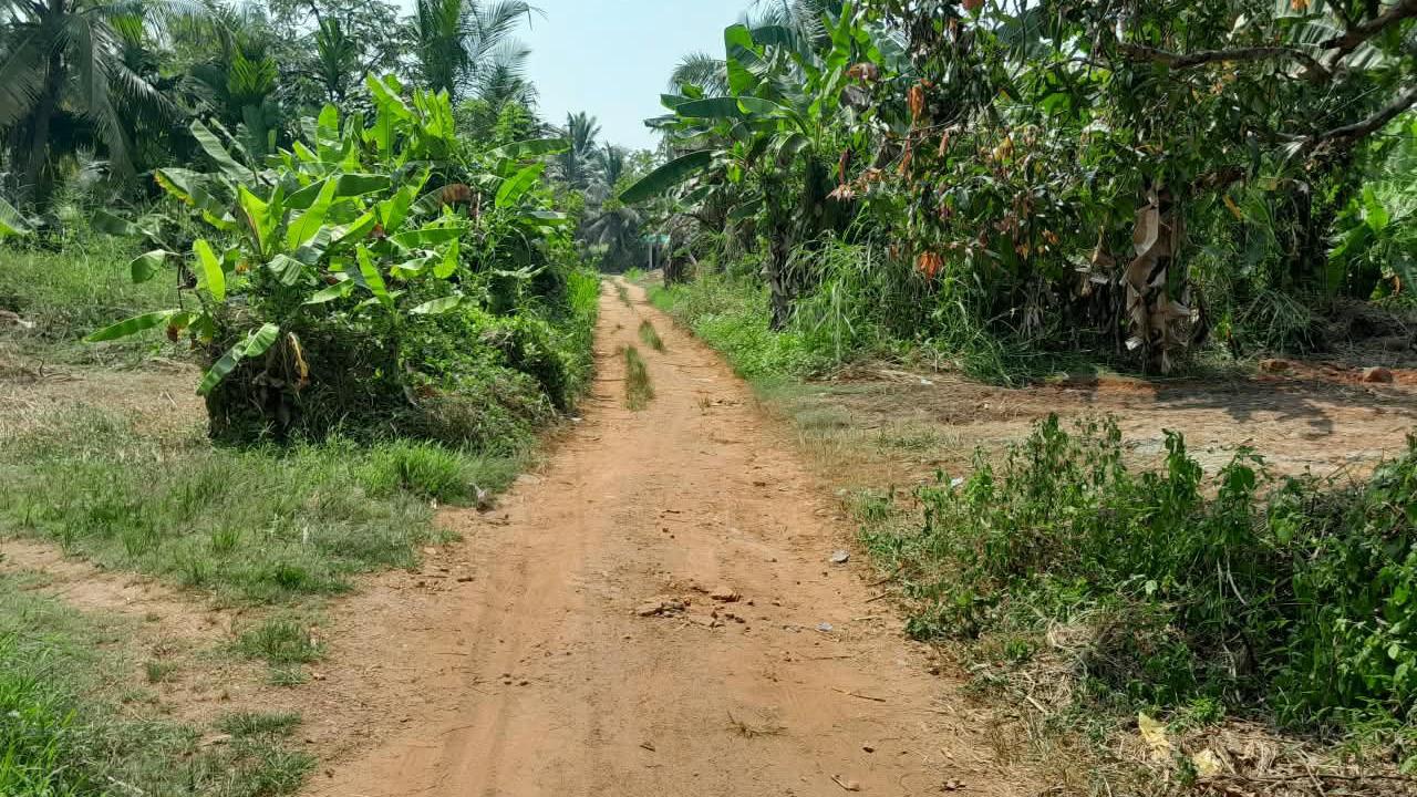 Plot in Pantheeramkavu test — photo 4