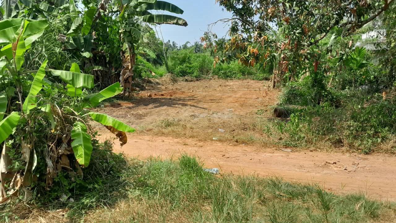 Plot in Pantheeramkavu test — photo 3