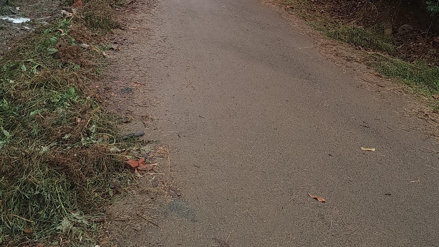 Plot in Kaniyaram in Kaniyaram Mananthavady
