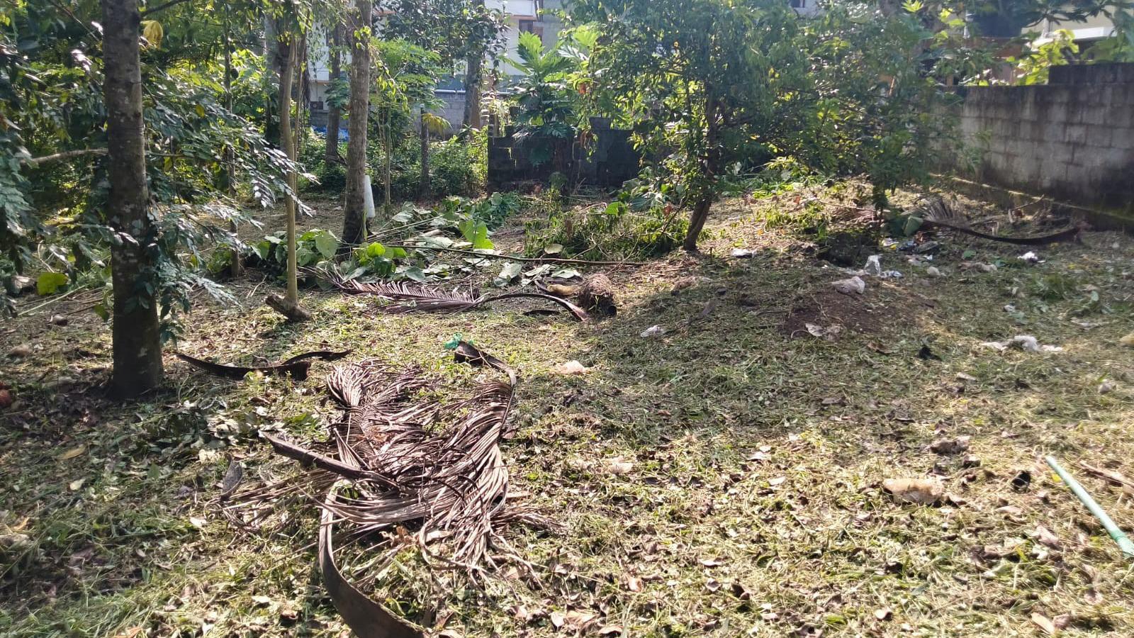 Plot in Thundathil — photo 1