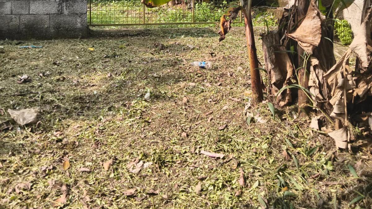 Plot in Thundathil — photo 8