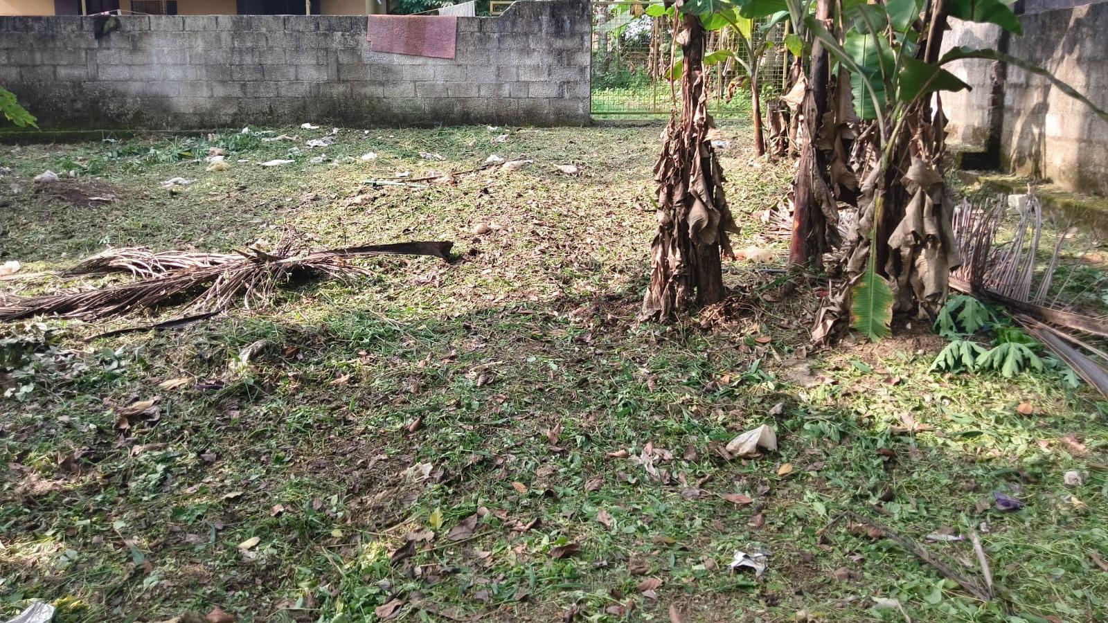 Plot in Thundathil — photo 6