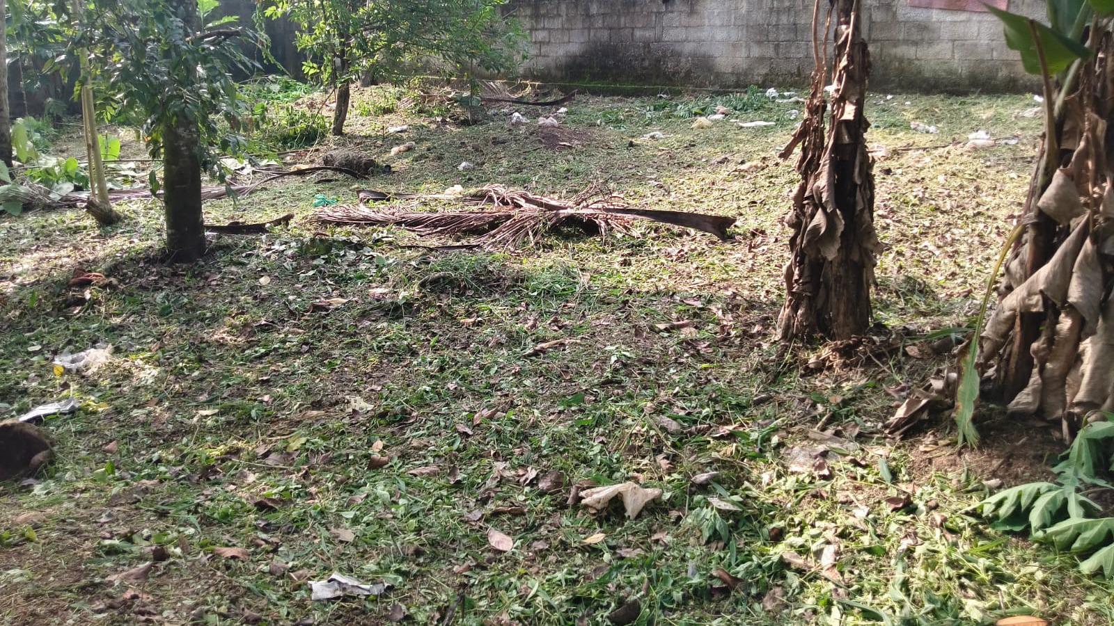 Plot in Thundathil — photo 5
