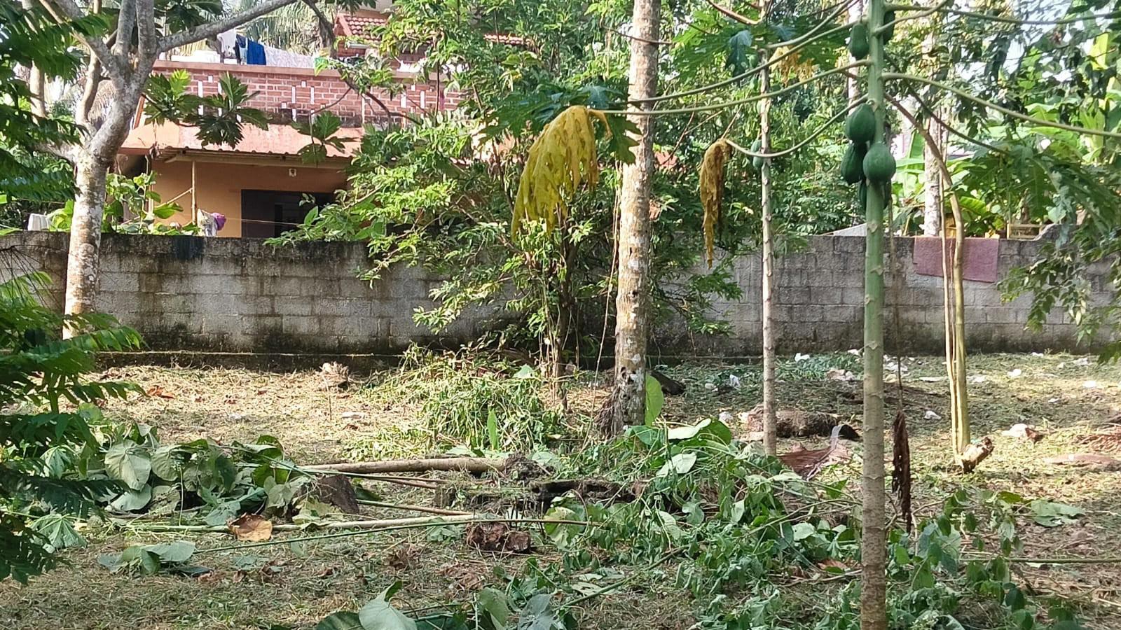 Plot in Thundathil — photo 4