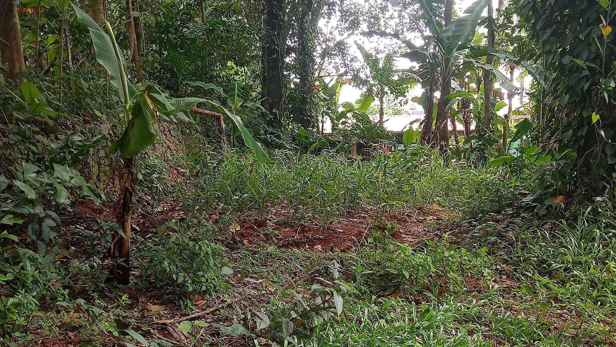 Plot in Manarcadu, Kottayam — photo 1