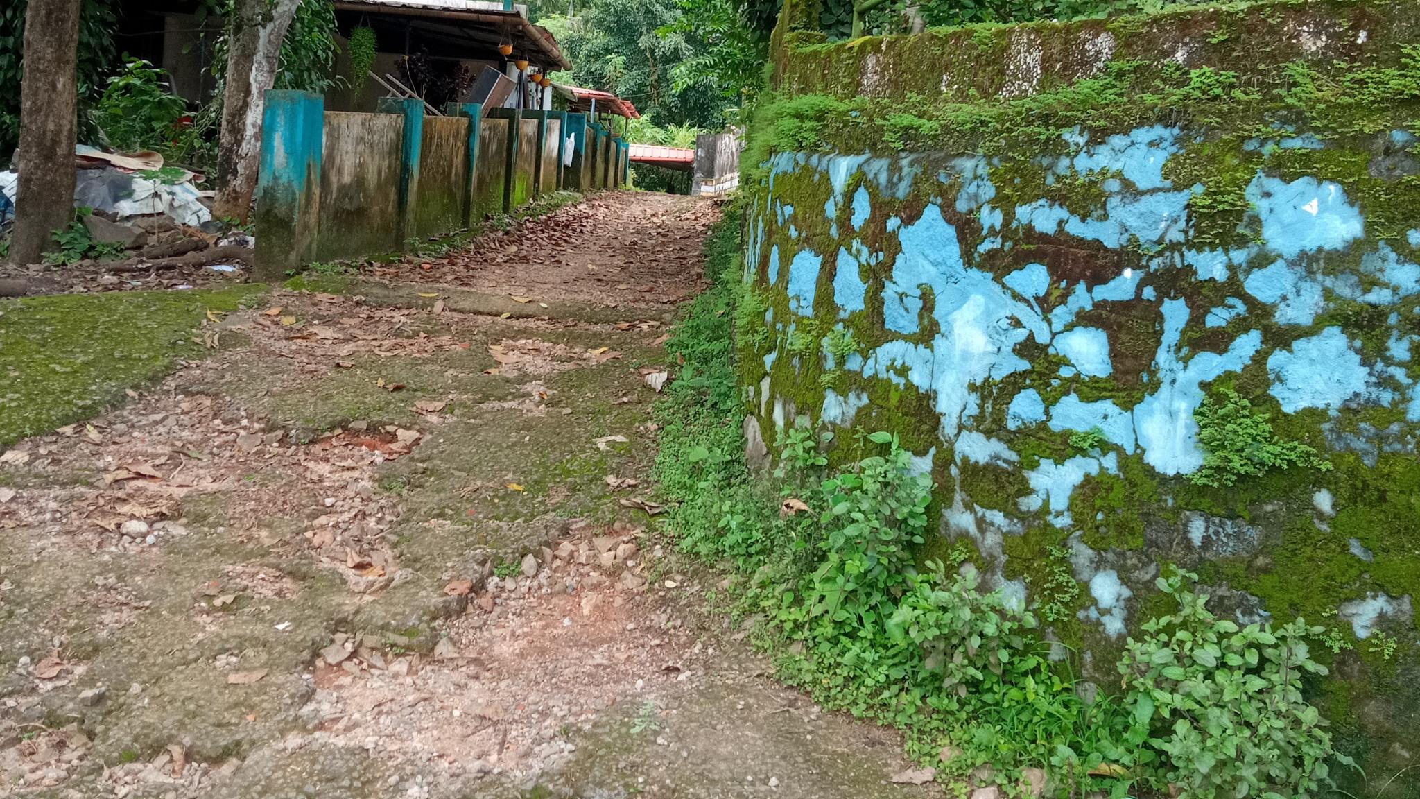 Plot in Manarcadu, Kottayam — photo 9