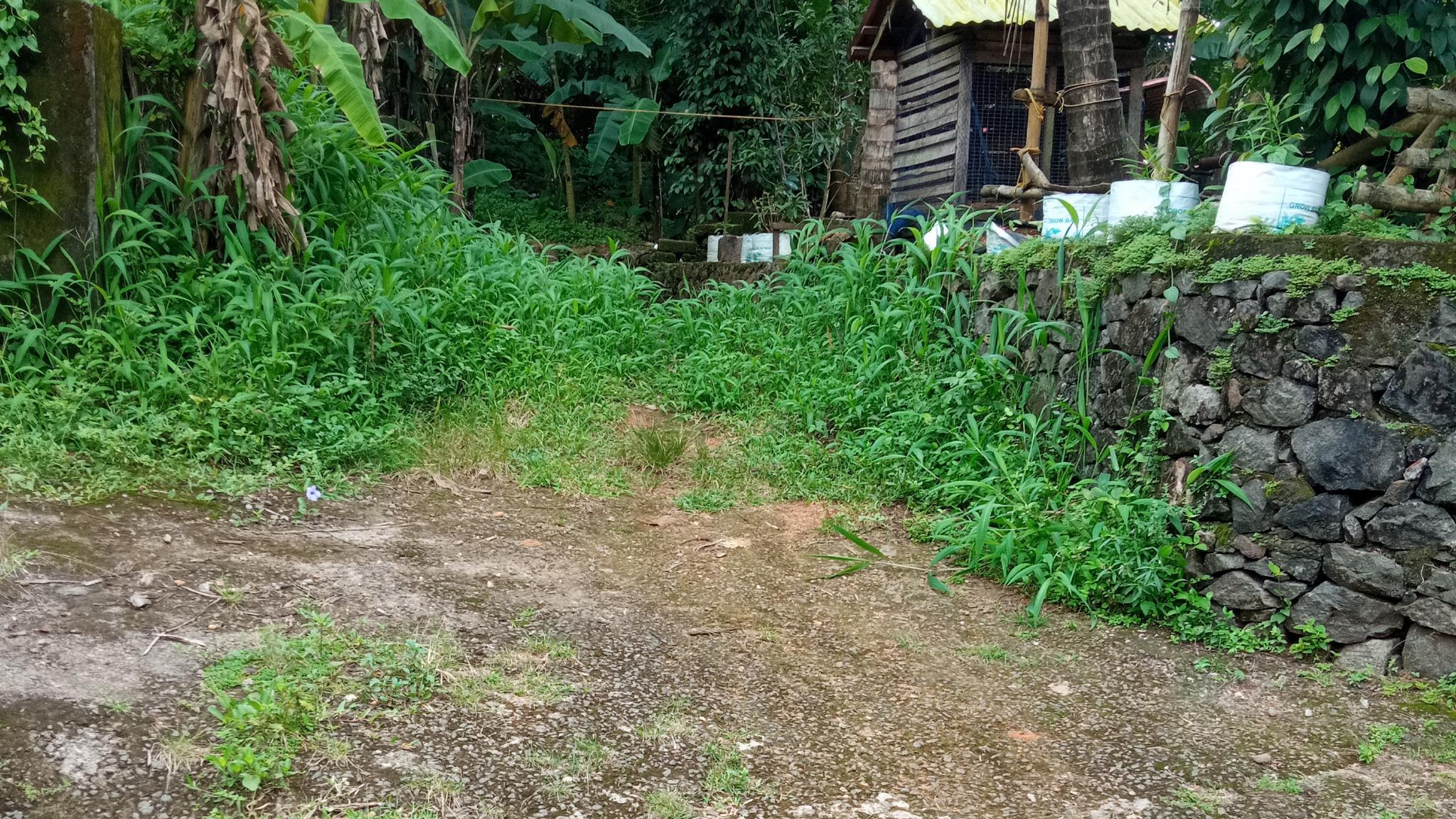 Plot in Manarcadu, Kottayam — photo 8