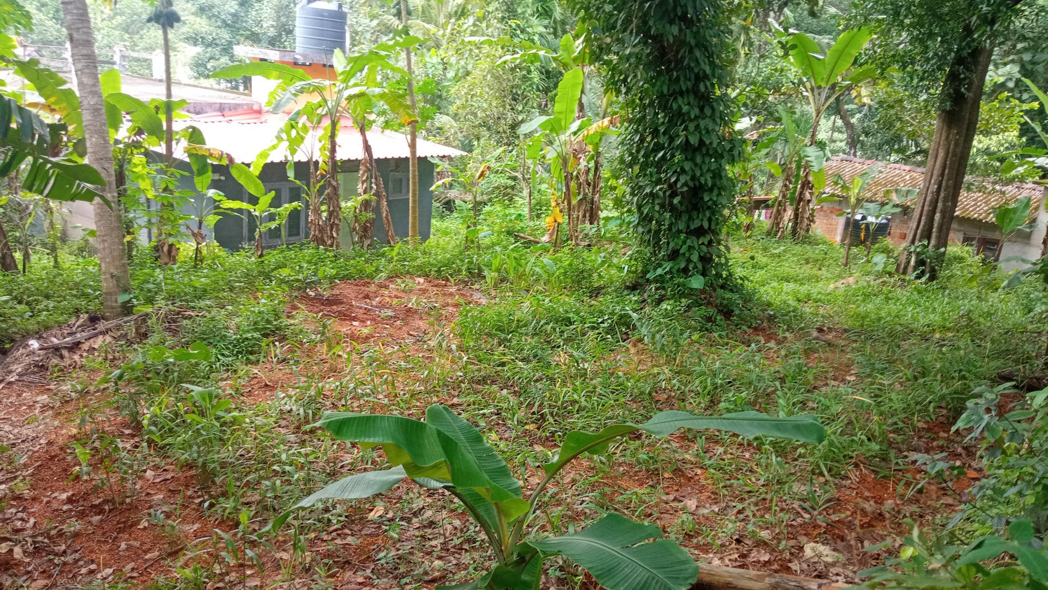Plot in Manarcadu, Kottayam — photo 5