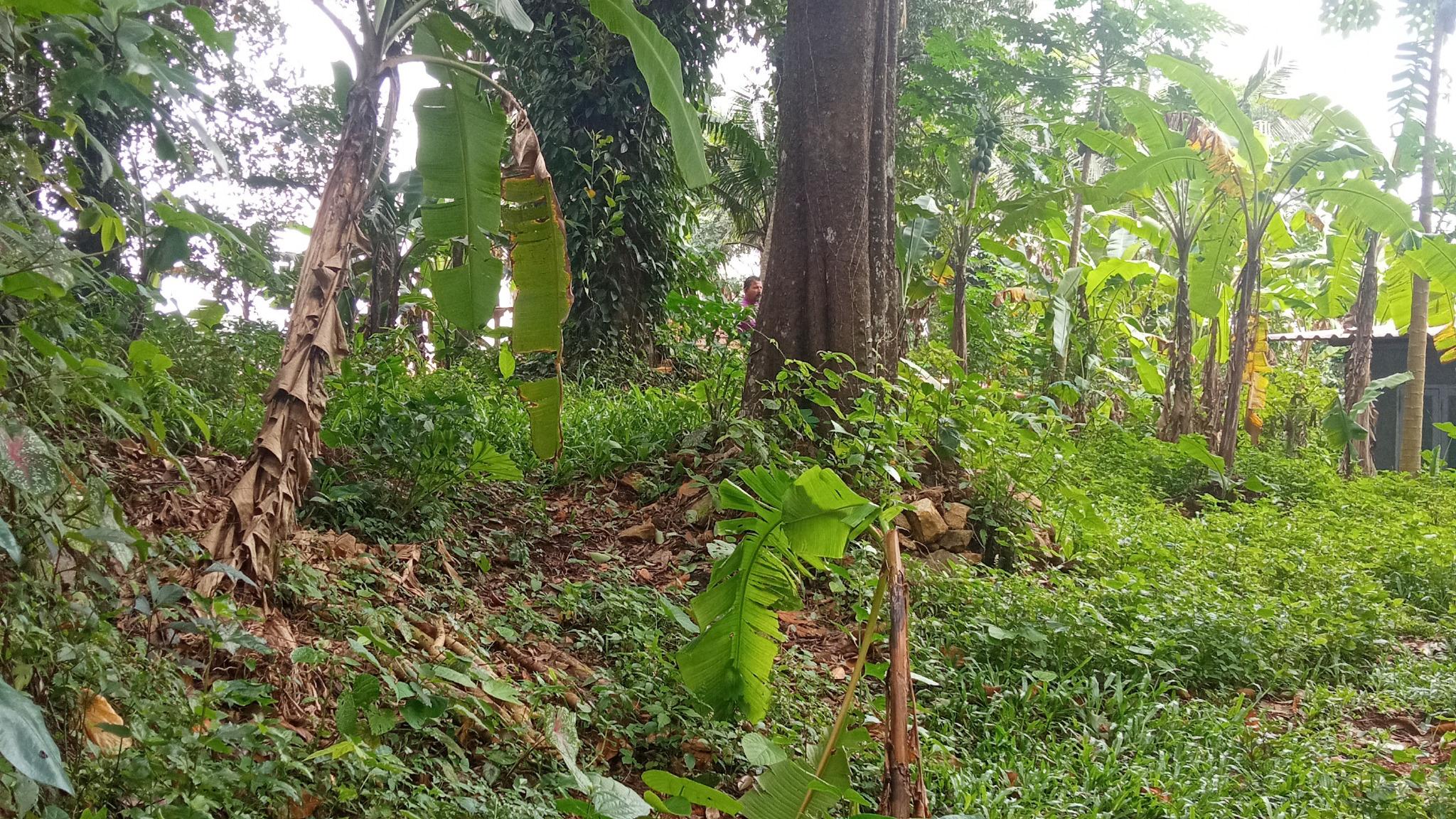 Plot in Manarcadu, Kottayam — photo 3