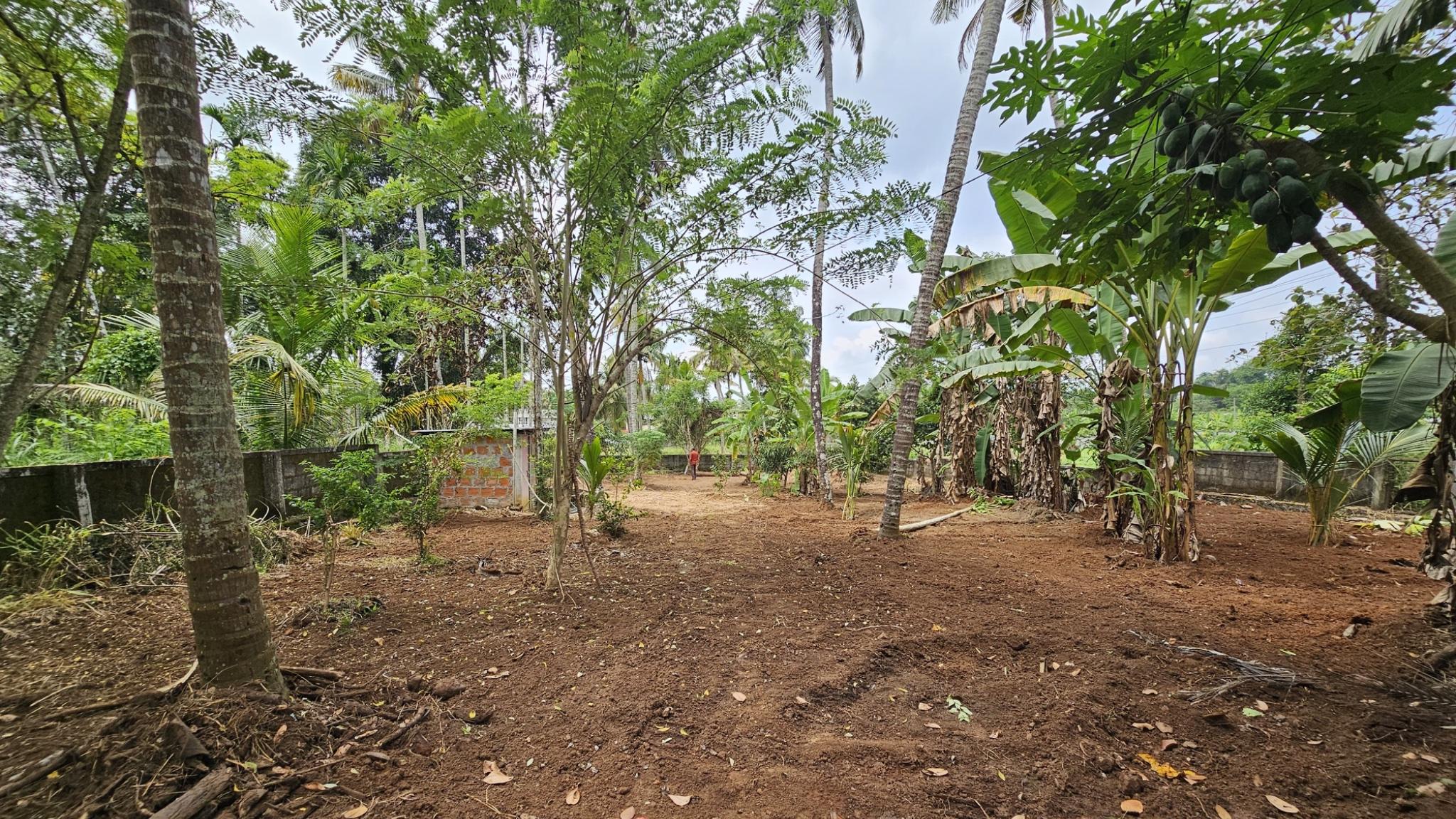 Plot in Padukad — photo 5
