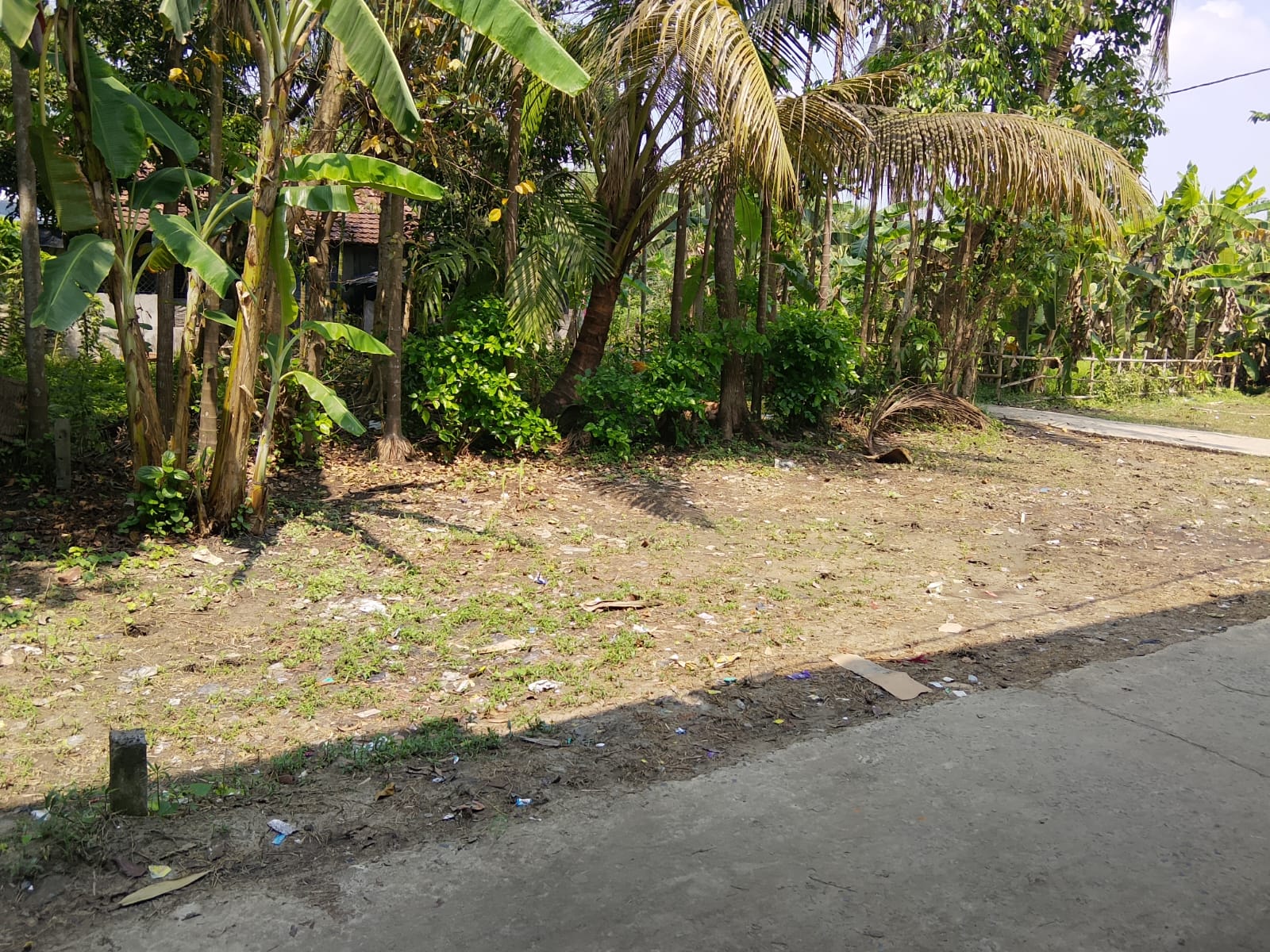 Plot in Bibirhat — photo 5