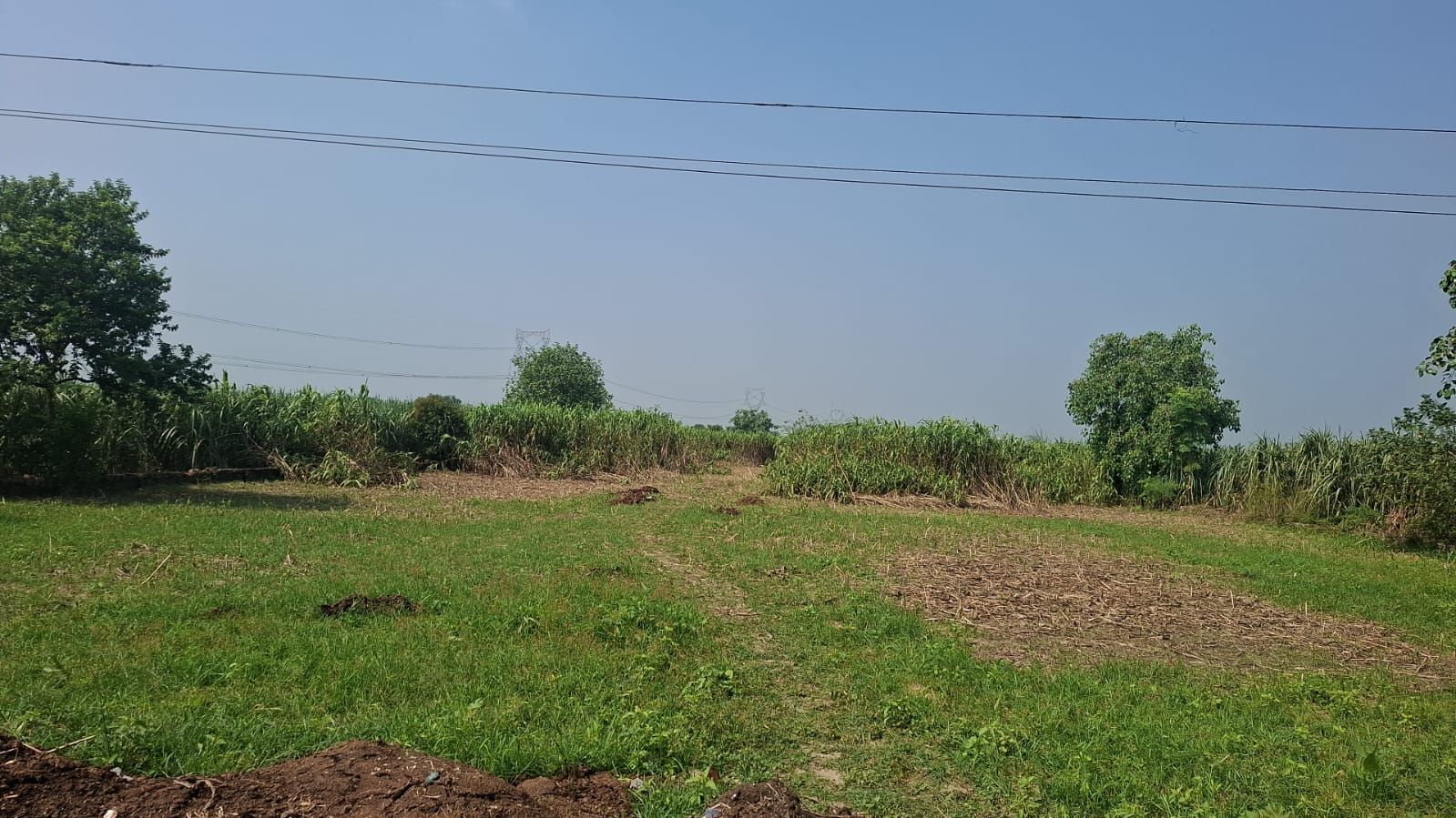 Commercial — photo 3