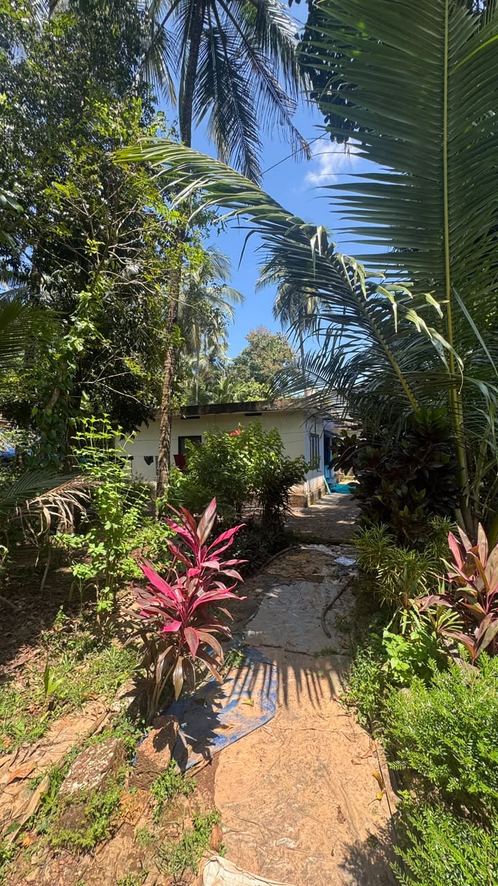 House in Mattannur — photo 2