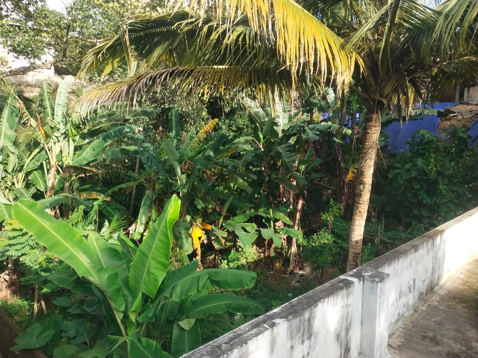 Plot in Kaimanam, Thiruvananthapuram — photo 5