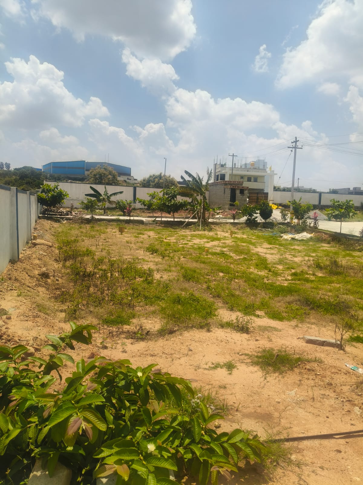 Kaveri lake Avenue — photo 2
