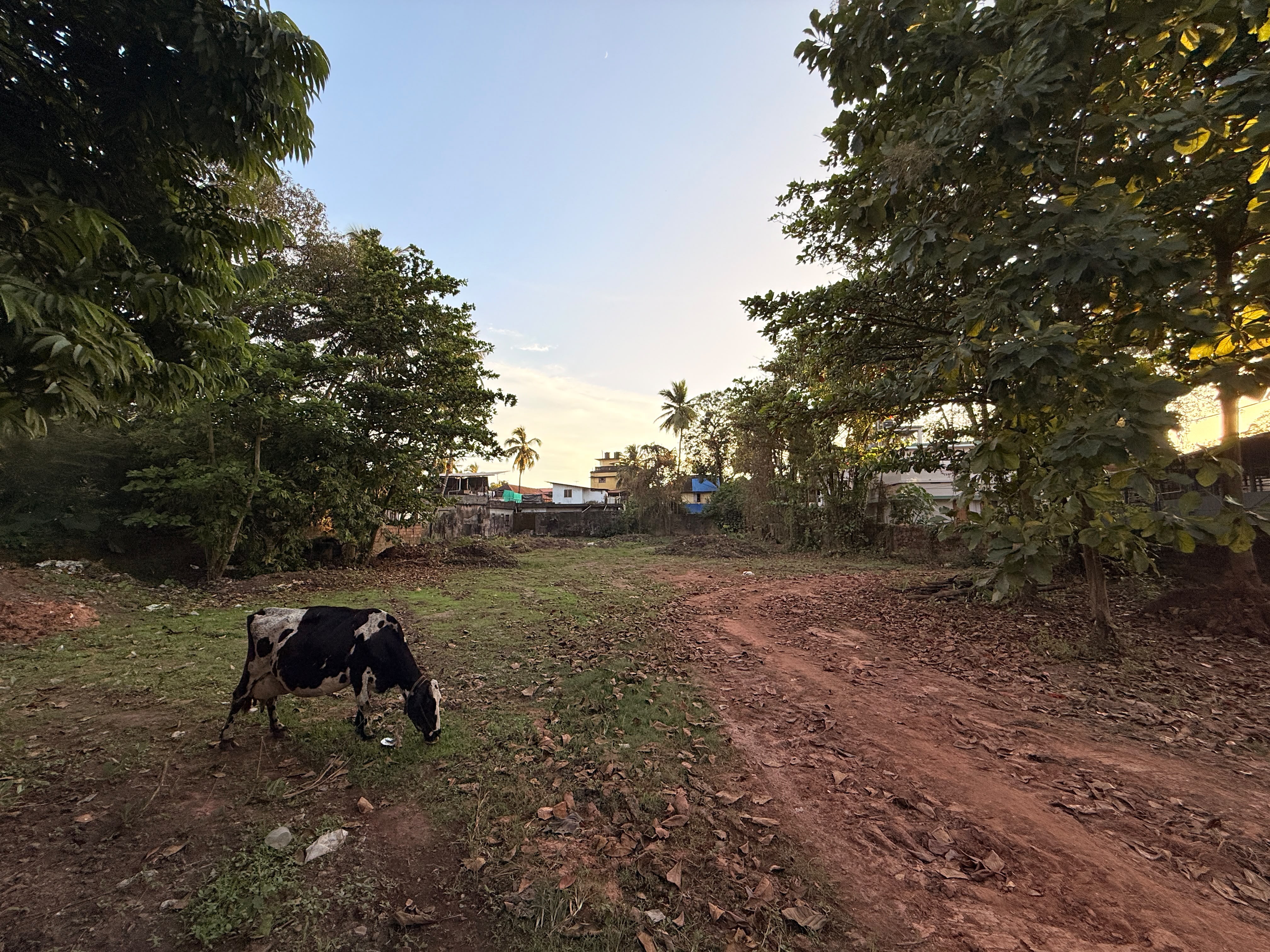 Plot In Thalassery Town, Kannur — photo 5