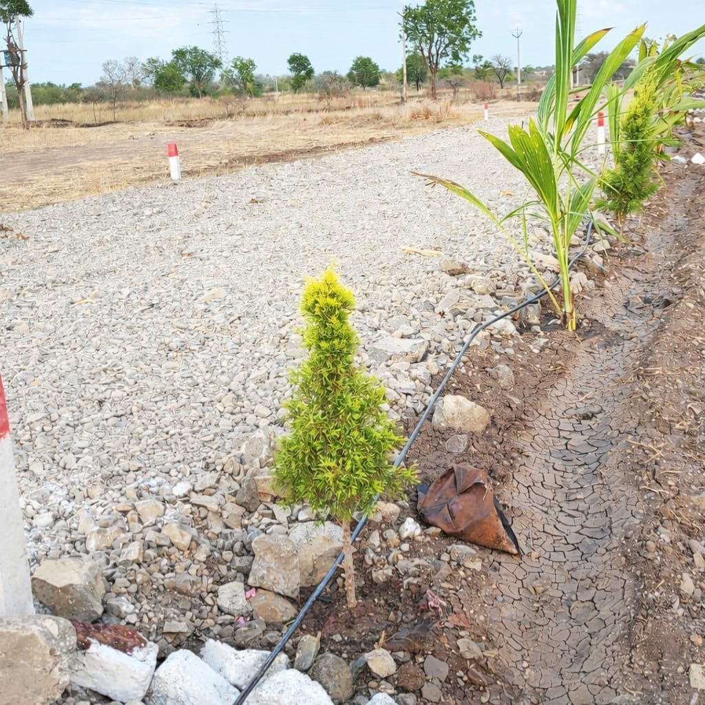 Plot In Saswad — photo 6